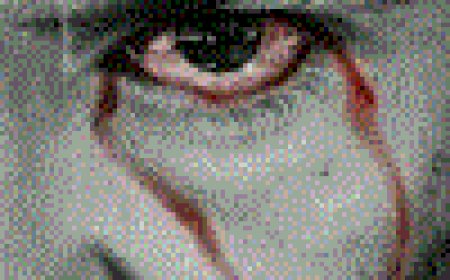 Amnesty International accuses Israel of committing genocide in Gaza