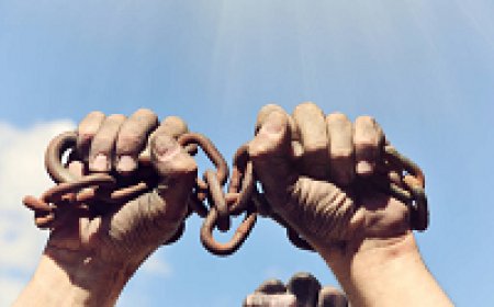 Anti Human Trafficking